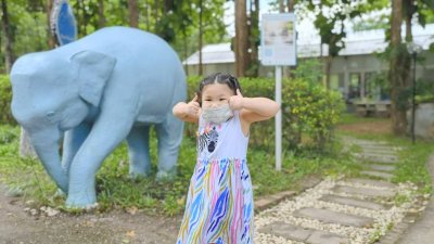 ศูนย์การเรียนรู้ช้าง(พิษณุโลก)