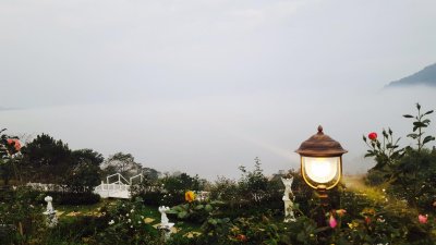 Vin View Rose Garden เขาค้อ เพชรบูรณ์