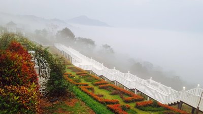 Vin View Rose Garden เขาค้อ เพชรบูรณ์