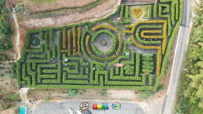 MAZE เขาวงกต เขาค้อ เพชรบูรณ์