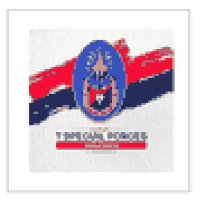 1st Special Forces