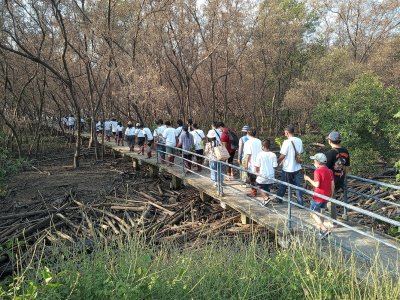 เวลโรล-นีโอโรเลอร์