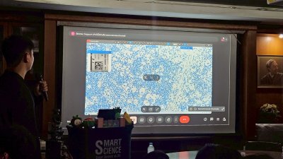 Work shop " The use of the Alpathwell® Analysis program in pathology "