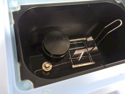 (ARI-4) Antigen Retrieval System by Servicebio