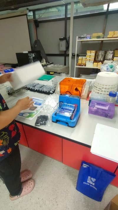 EDGE™ Integrated Electrophoresis System - Edvotek