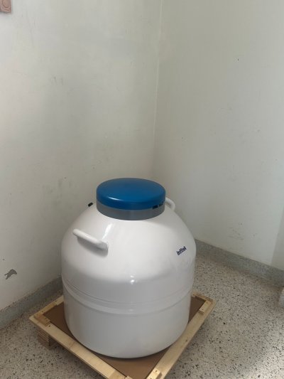 Nitrogen tank & Balance metler - Infitek