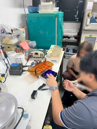 Integrated Horizontal Electrophoresis System (Electrophoresis Tank + blue light transilluminator) - Servicebio