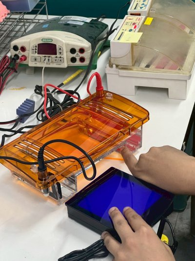 (SVL-2) Integrated Horizontal Electrophoresis - Servicebio