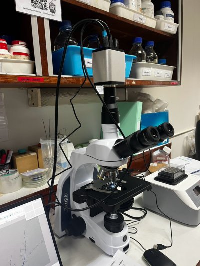 iScope Series Microscope by Euromex
