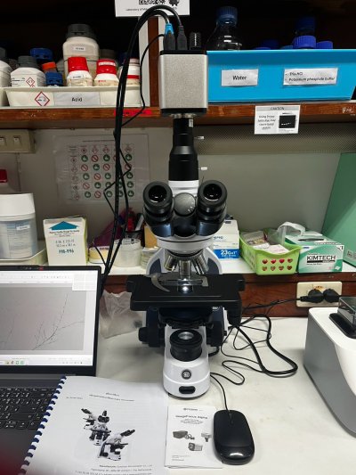 iScope Series Microscope by Euromex