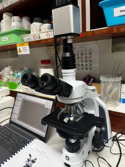 iScope Series Microscope by Euromex