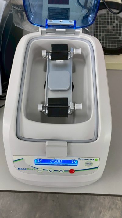 D1036-E BeadBug6, Six Position Homogenizer (Benchmark)