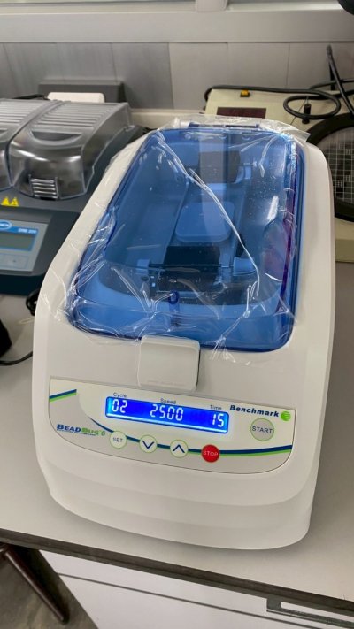 D1036-E BeadBug6, Six Position Homogenizer (Benchmark)