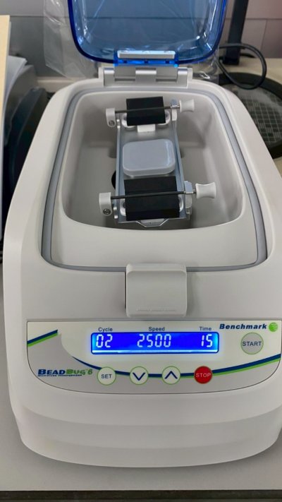 D1036-E BeadBug6, Six Position Homogenizer (Benchmark)