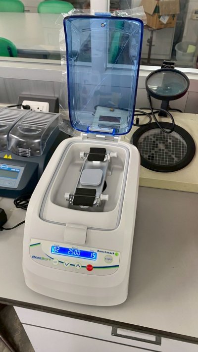 D1036-E BeadBug6, Six Position Homogenizer (Benchmark)