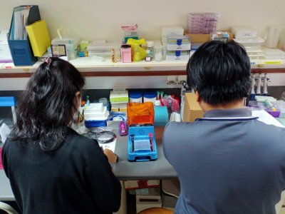 EDGE™ Integrated Electrophoresis System