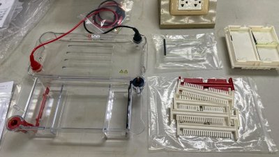 DL-SUB02 Multi-functional horizontal electrophoresis tank by DLAB