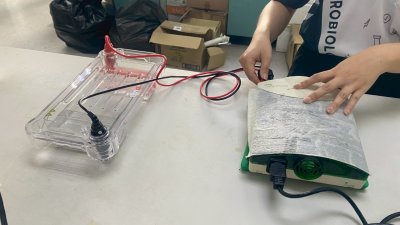 DL-SUB02 Multi-functional horizontal electrophoresis tank by DLAB