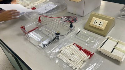 DL-SUB02 Multi-functional horizontal electrophoresis tank by DLAB