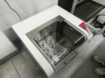 (ICB-70BS; ICB-70BSI) Benchtop Constant Temp Shaking Incubator by Scitek