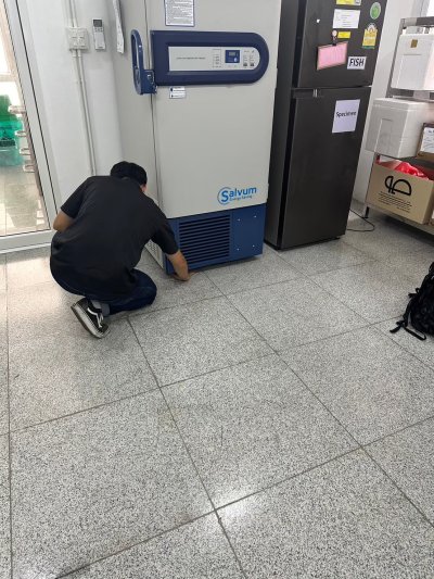 Freezer - Haier