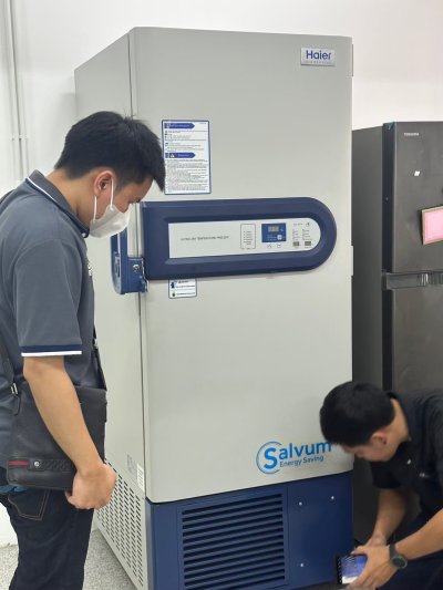 Freezer - Haier