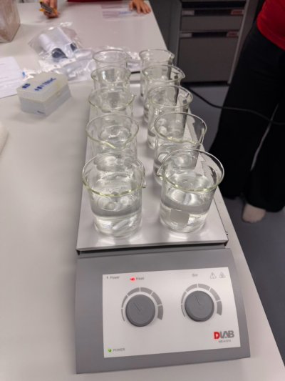 (MS-H-S10) 10-Position Magnetic Hotplate Stirrer by Dlab