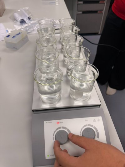 (MS-H-S10) 10-Position Magnetic Hotplate Stirrer by Dlab
