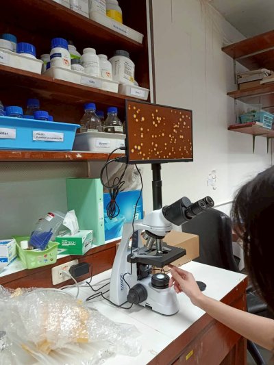 bScope Series Compound Microscopes by Euromex