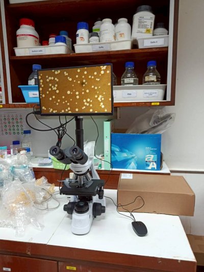 bScope Series Compound Microscopes by Euromex