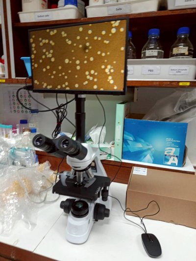 bScope Series Compound Microscopes by Euromex
