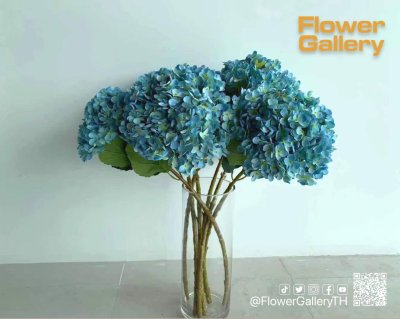 Blue Flowers