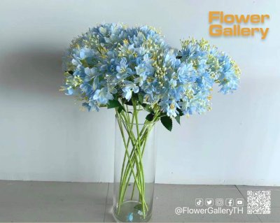 Blue Flowers