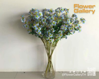 Blue Flowers