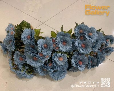 Blue Flowers