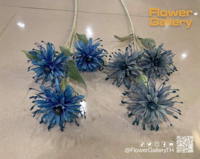 Blue Flowers