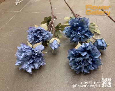 Blue Flowers