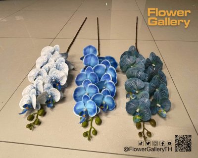 Blue Flowers