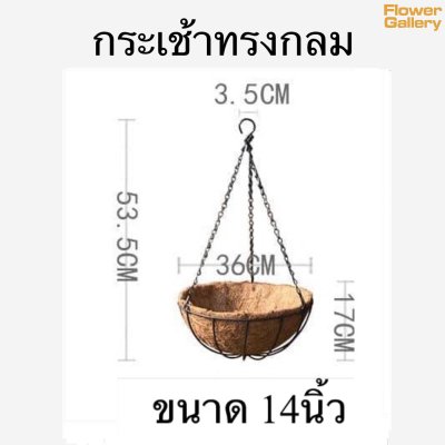 กระเช้า