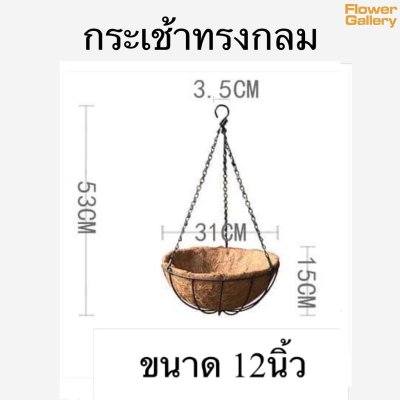 กระเช้า