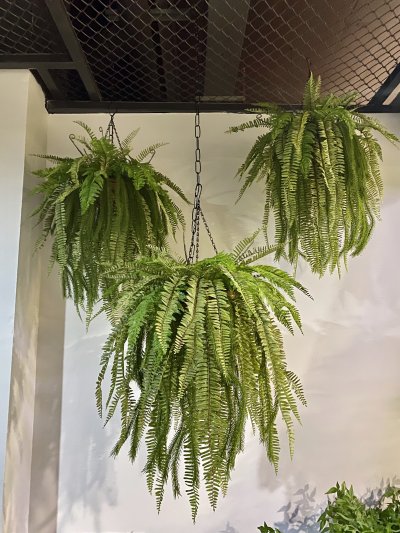 Artificial fern set, vertical garden