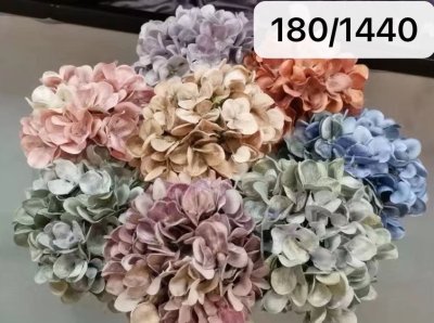 Hydrangea