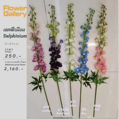 Delphinium