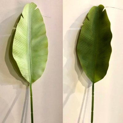 Leaf 2