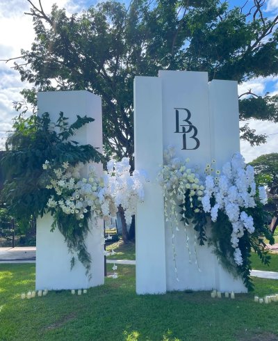 BD3.6m (4/4)