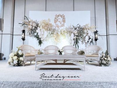 BD3.6m (4/4)