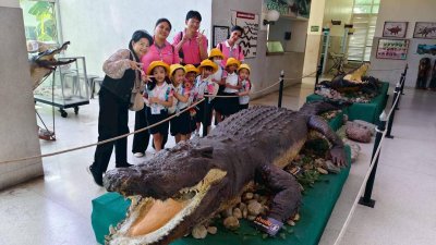 Field Trip to Crocodile Farm