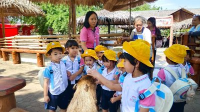 Field Trip to Crocodile Farm