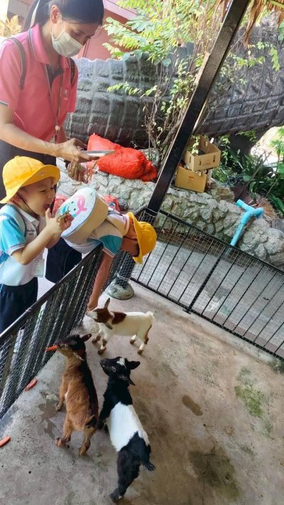 Field Trip to Crocodile Farm