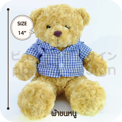 Teddy Bear